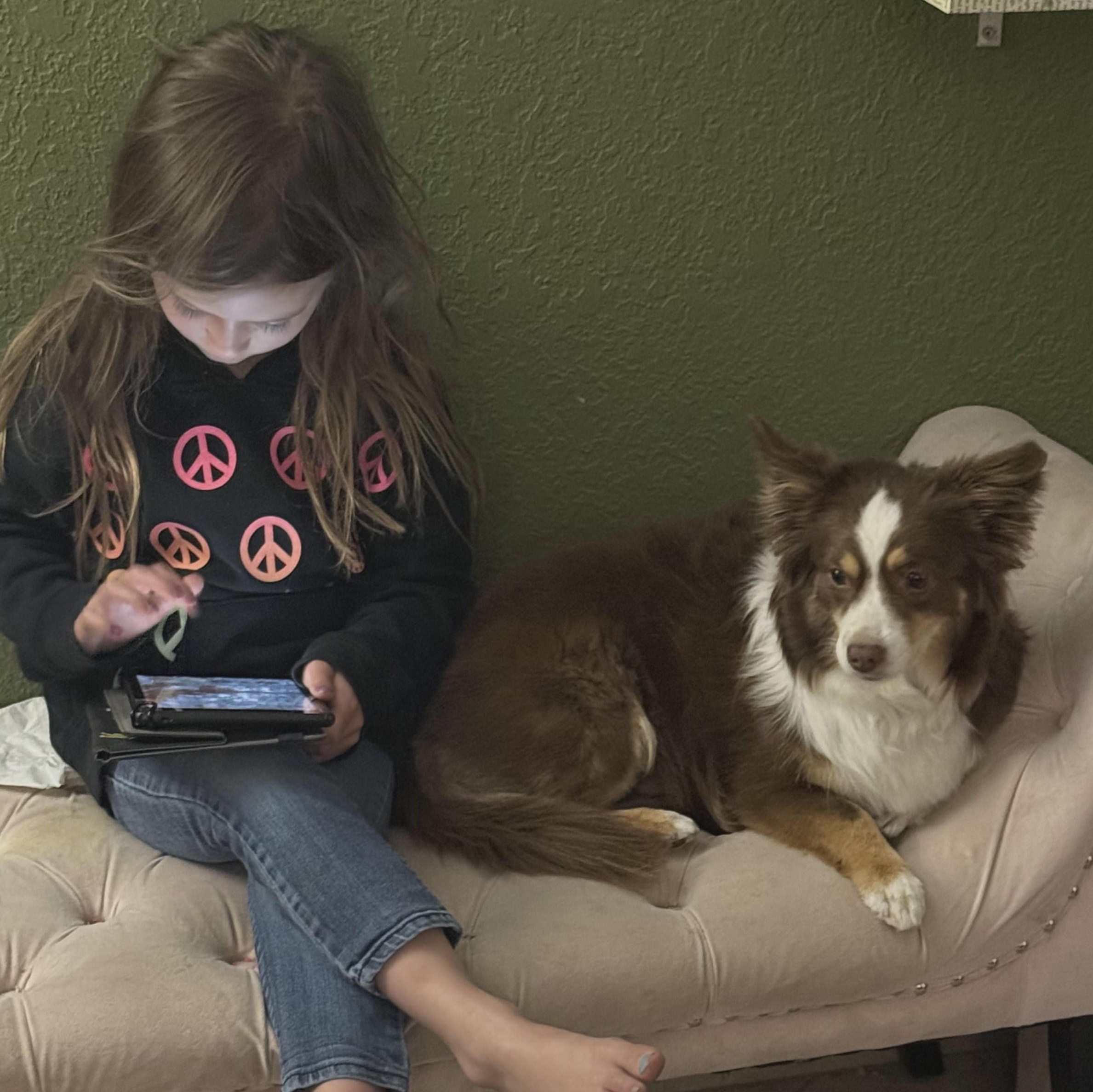 Wrigley and Lucky, a Adoptable Australian Shepherd in Marana, AZ image 3/6