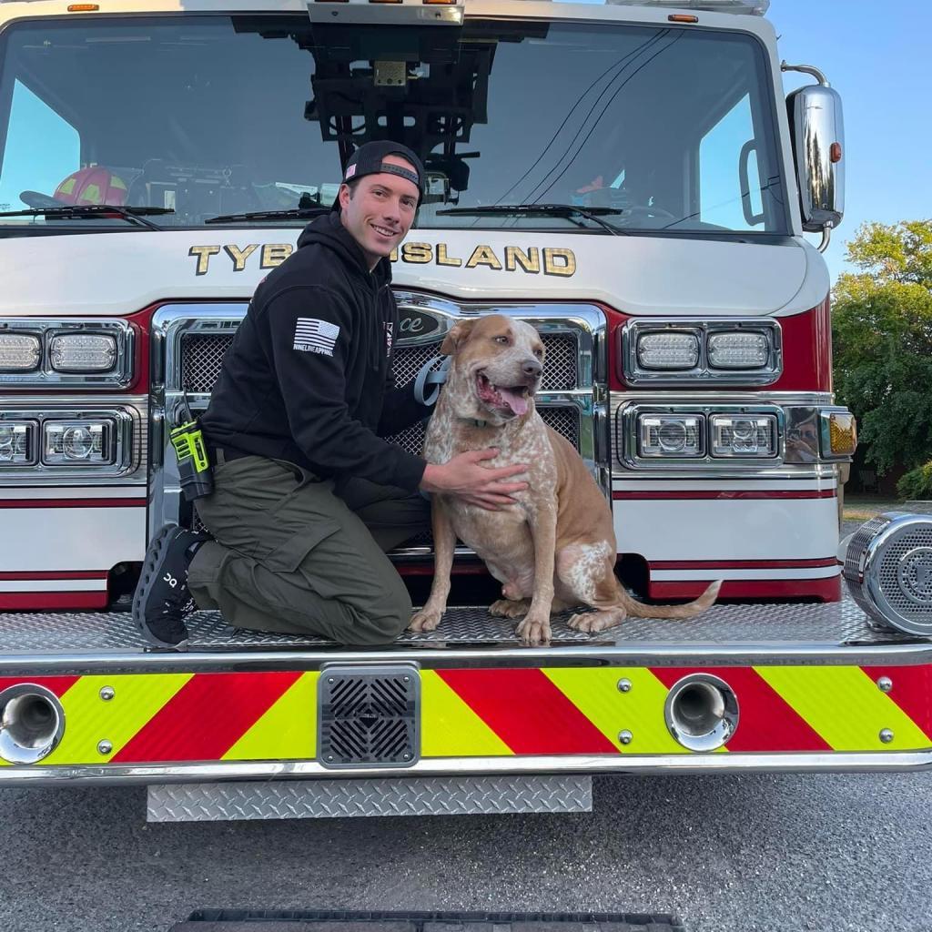 Friskies thumbnail 2