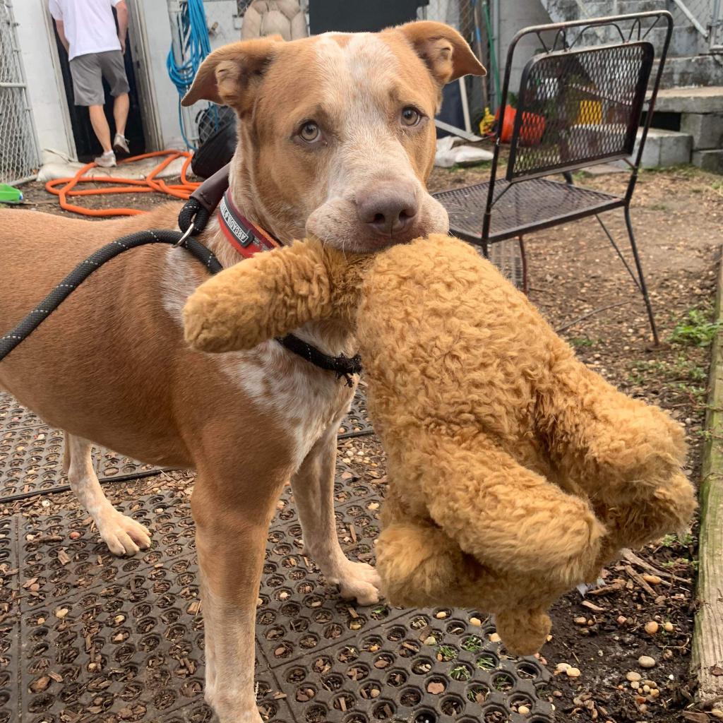 Friskies thumbnail 4