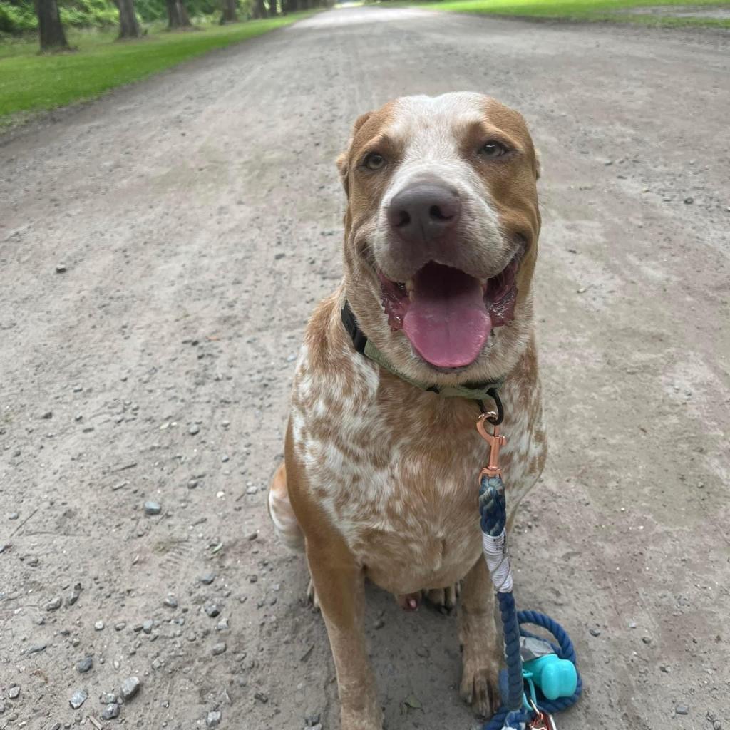 Friskies thumbnail 6