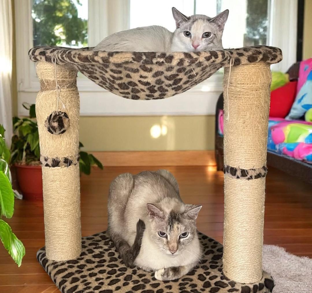 Brigitte – Shy, Sweet, and Lots Love of Love to Give