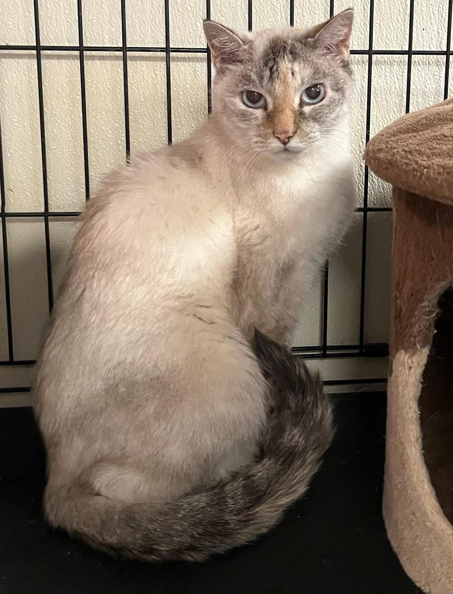 Brigitte – Shy, Sweet, and Lots Love of Love to Give