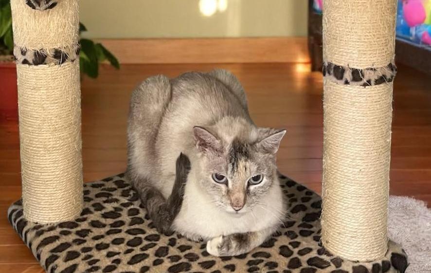 Brigitte – Shy, Sweet, and Lots Love of Love to Give