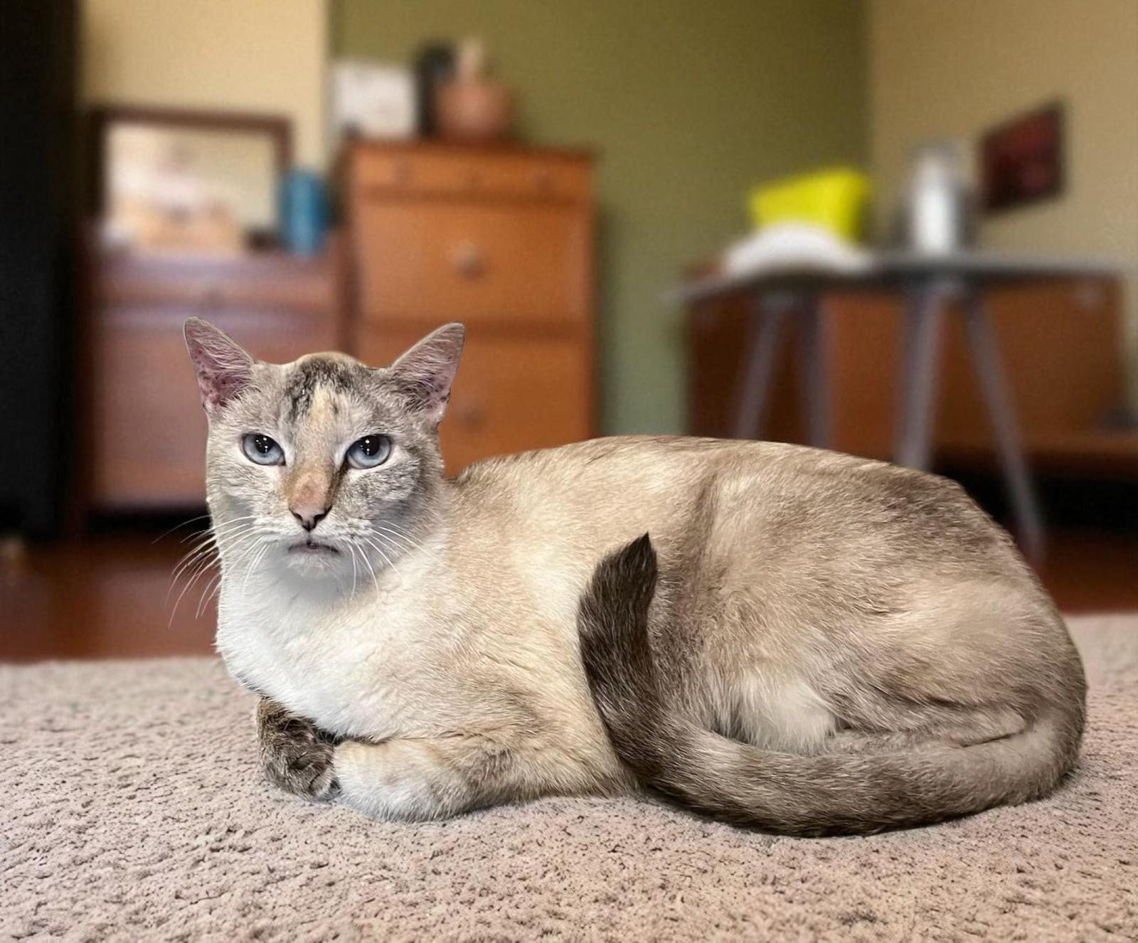 Brigitte – Shy, Sweet, and Lots Love of Love to Give