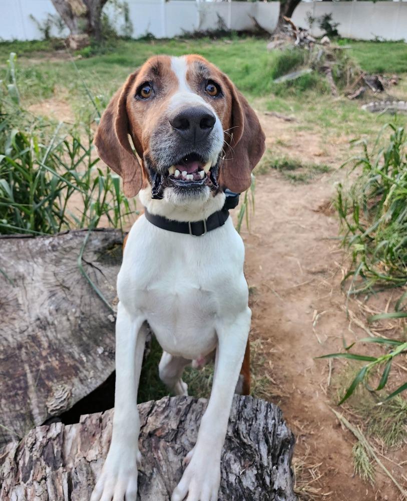 Nelson Tarboro thumbnail 2