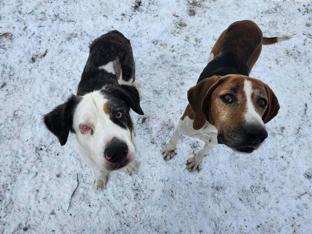 Nelson Tarboro thumbnail 3