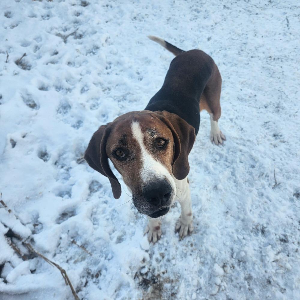 Nelson Tarboro thumbnail 4