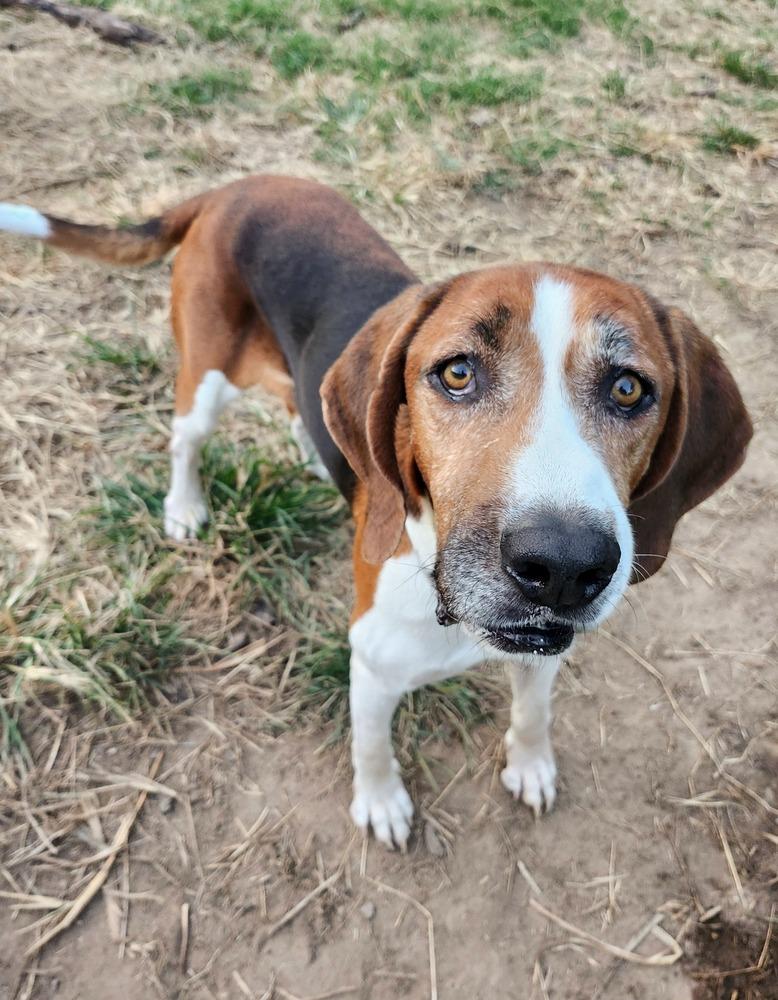 Nelson Tarboro thumbnail 5