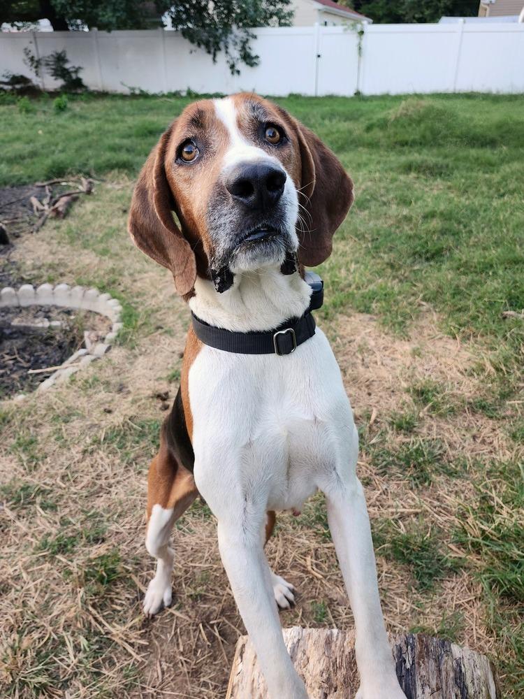 Nelson Tarboro thumbnail 6