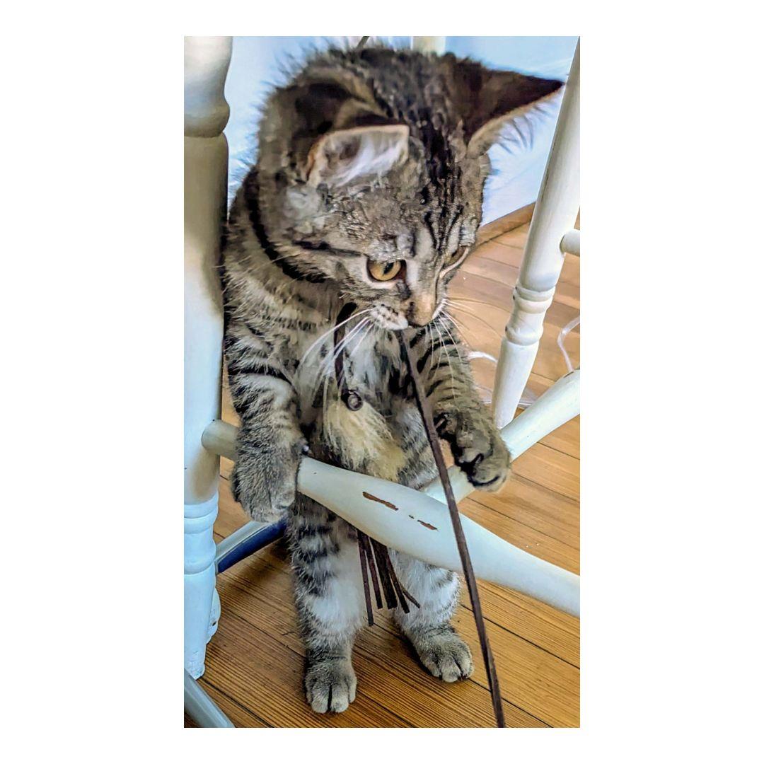 Tequila Maria And Prince thumbnail 3