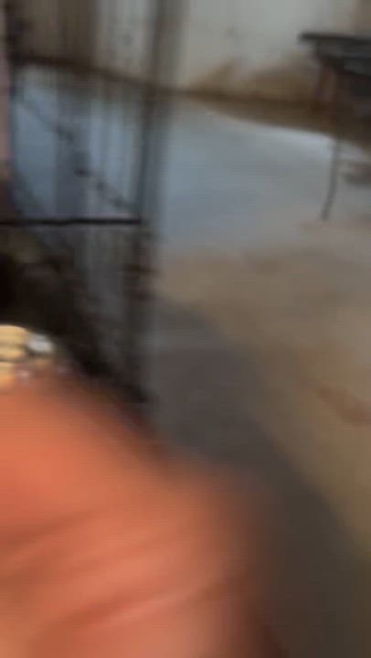 Enlarge Toby, a Adopted Domestic Short Hair in Cincinnati , OH video 5/6