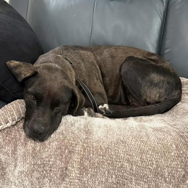 Midnight — thumbnail 3