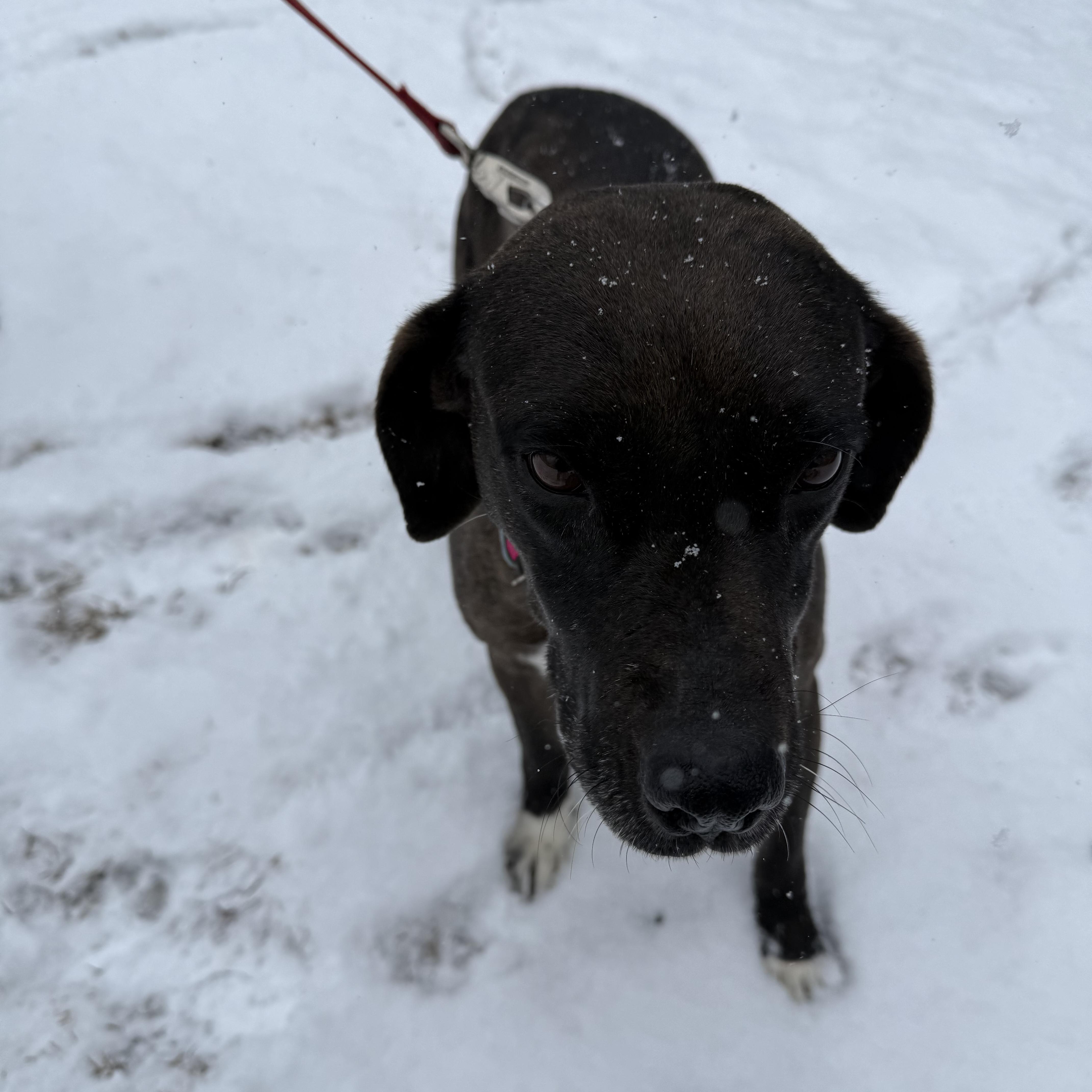 Midnight — thumbnail 5