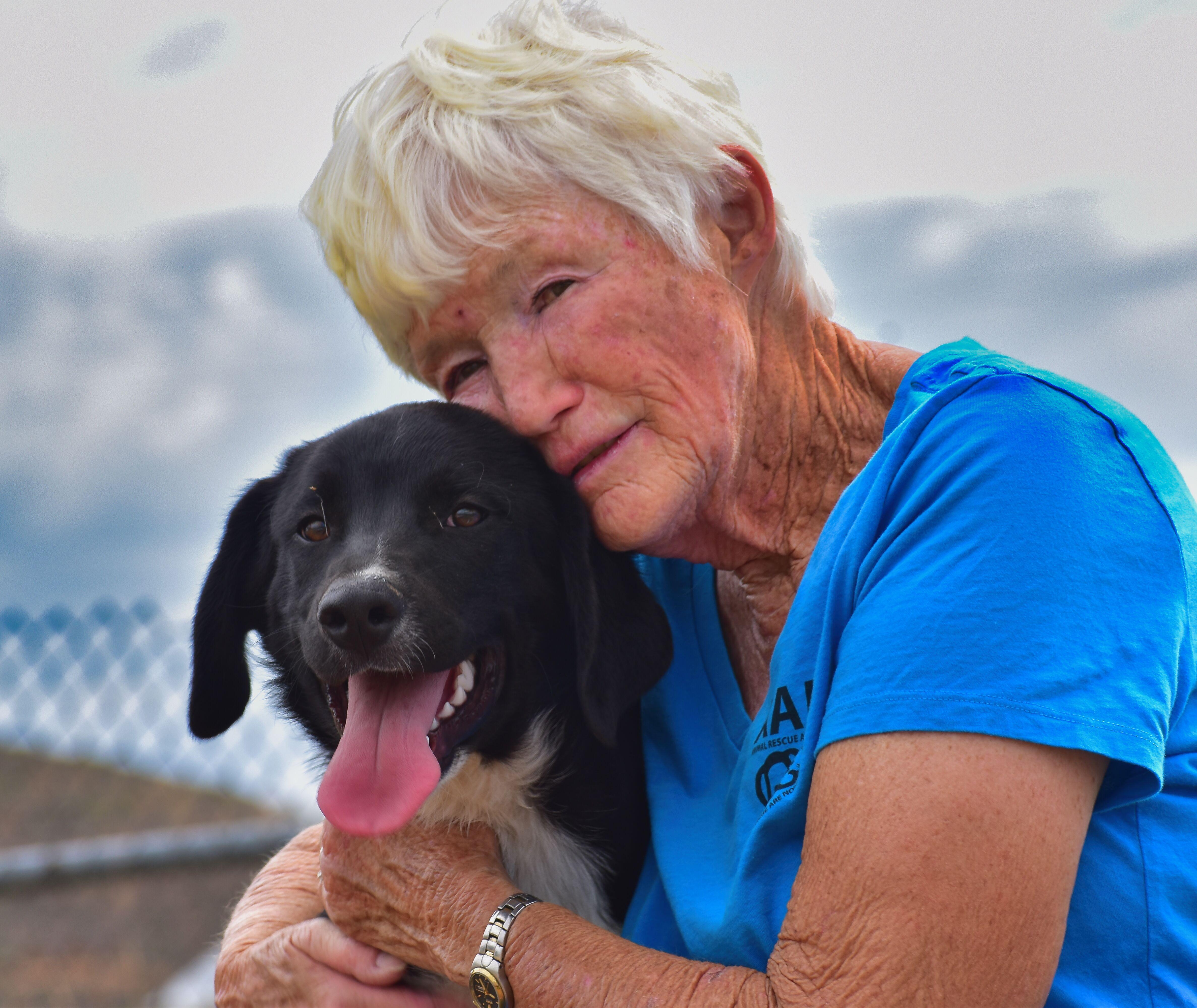 Enlarge Butters, a ADOPTABLE mixed breed in Mayer, AZ image 3/3