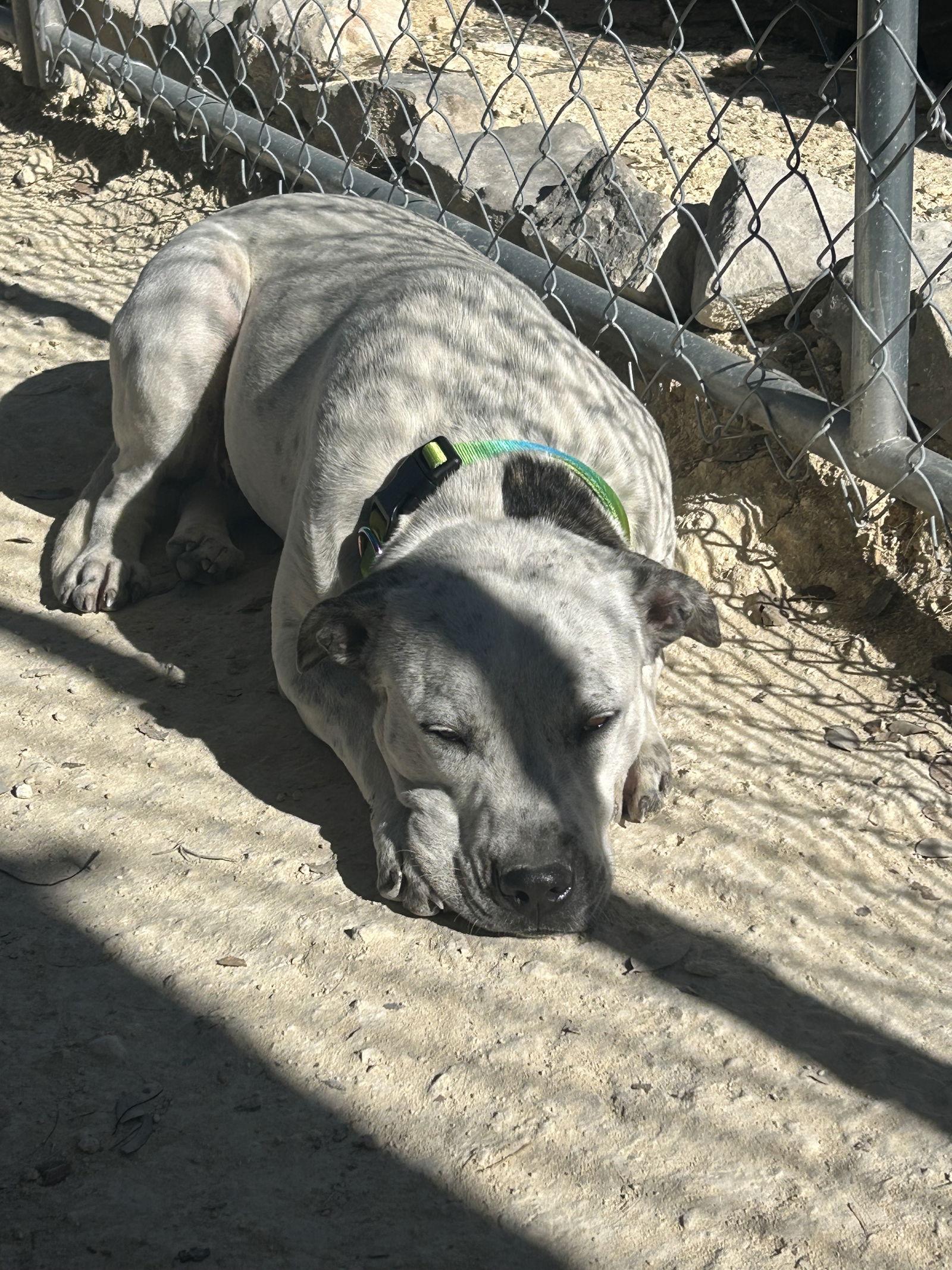 Rain — thumbnail 3