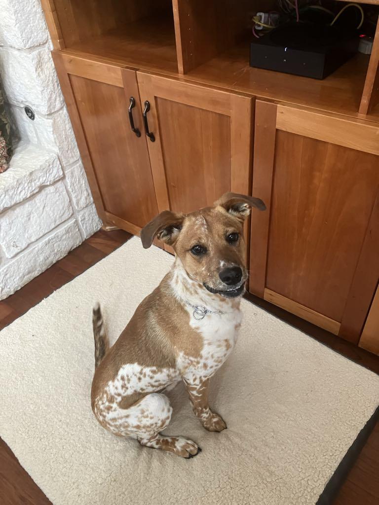 Otis