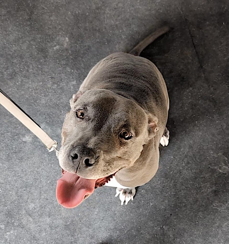 Cindy — thumbnail 2