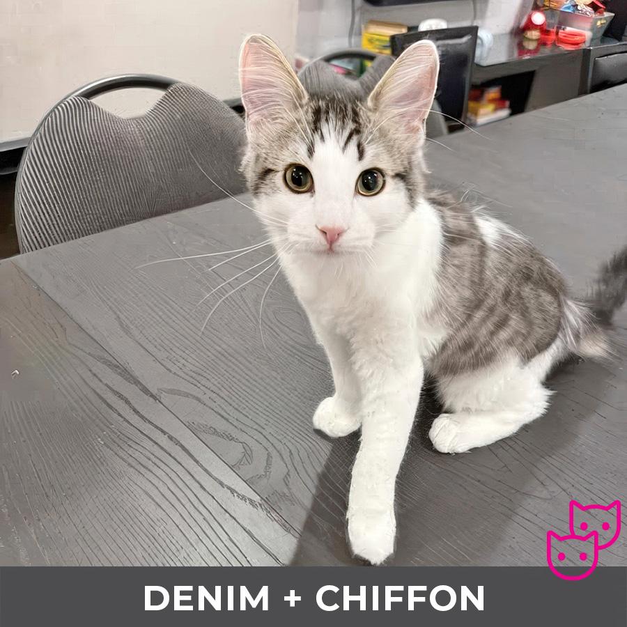 Chiffon (bonded with Denim)