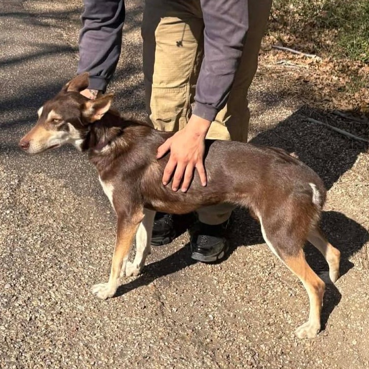 Cassie — thumbnail 4