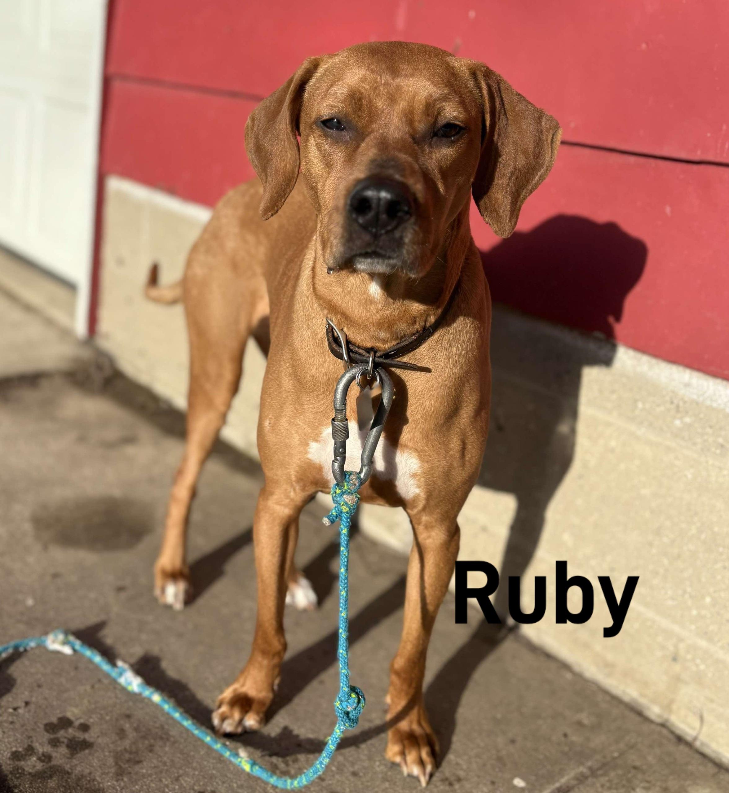 Ruby
