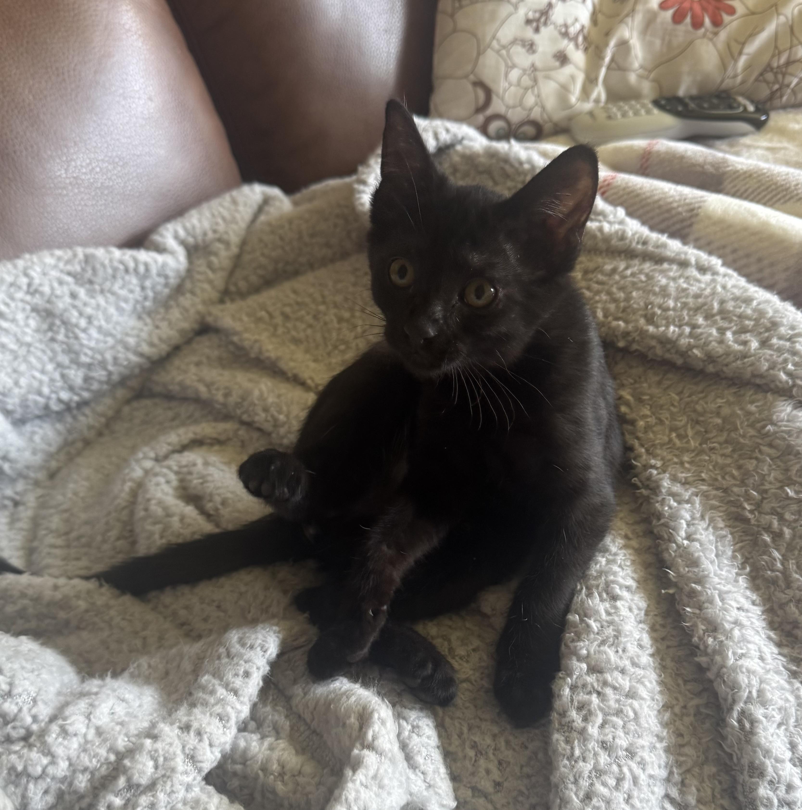 Orin, Baby Male unknown