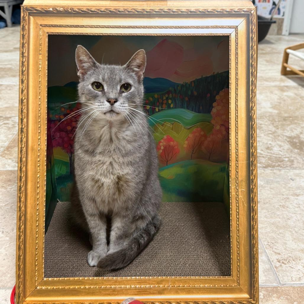 Seahorse — thumbnail 3