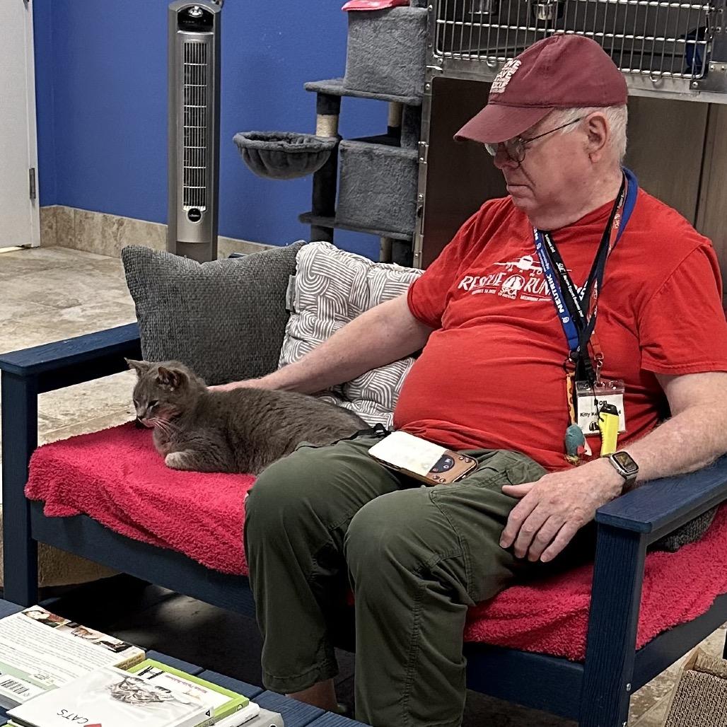 Seahorse — thumbnail 4