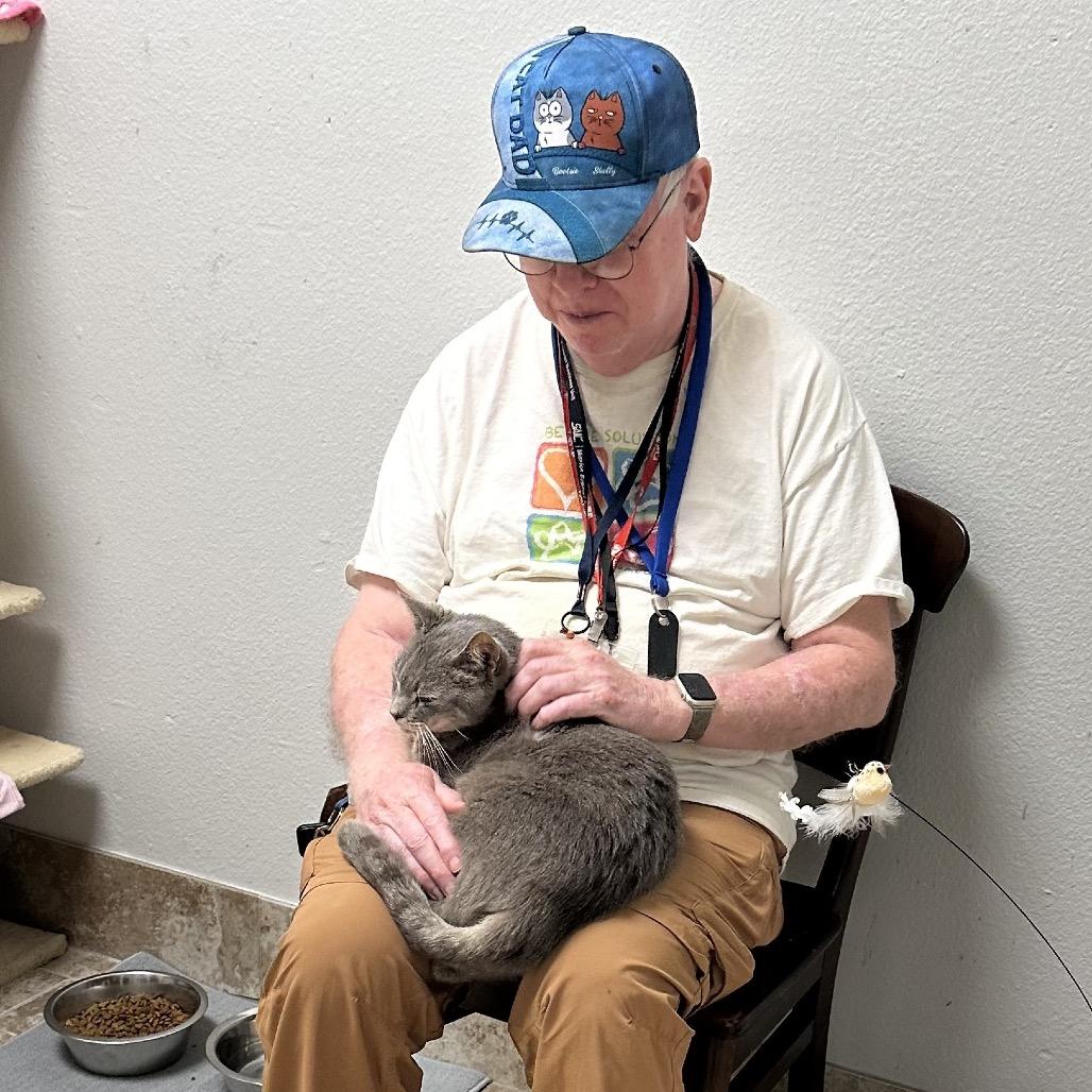 Seahorse — thumbnail 6