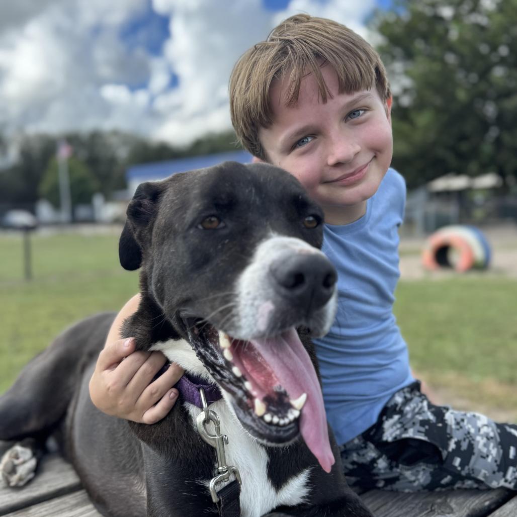 Dunkin, a Adoptable Mixed Breed in Lake Panasoffkee, FL image 2/6