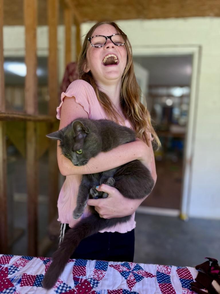 Enlarge SMOKY, an adoptable Domestic Short Hair in Talbott, TN image 5/6