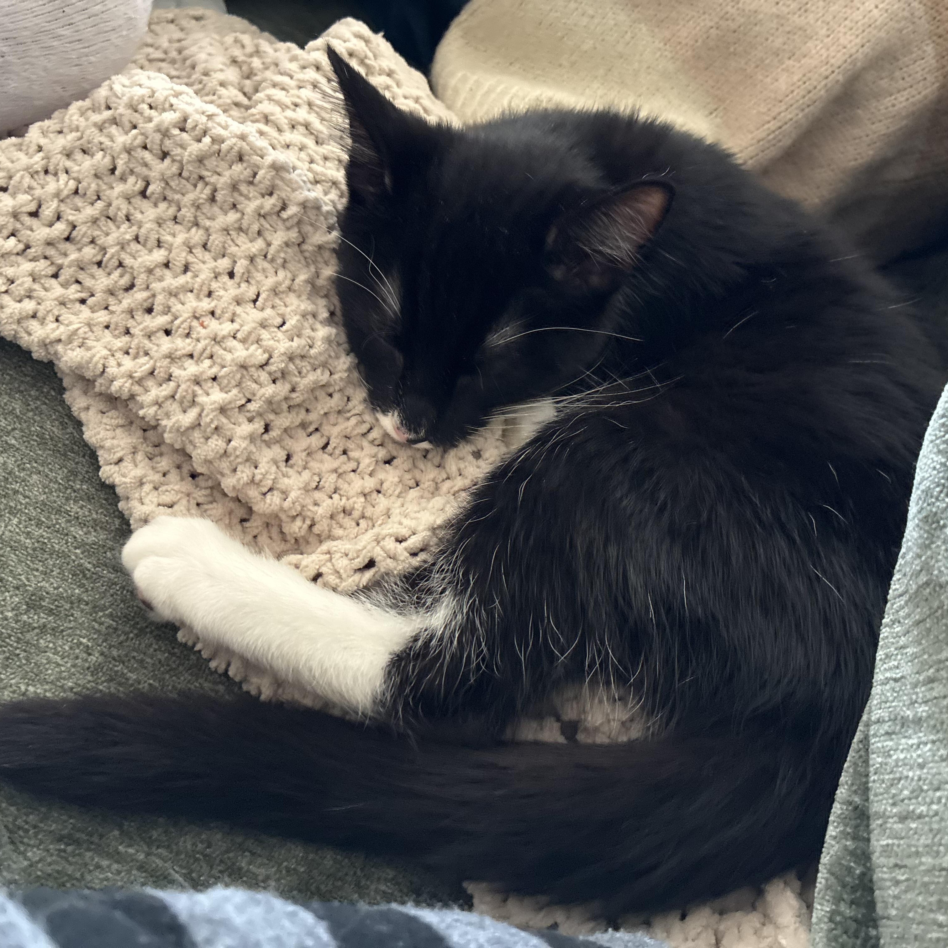 Lucky Numbers (AKA Lucky)