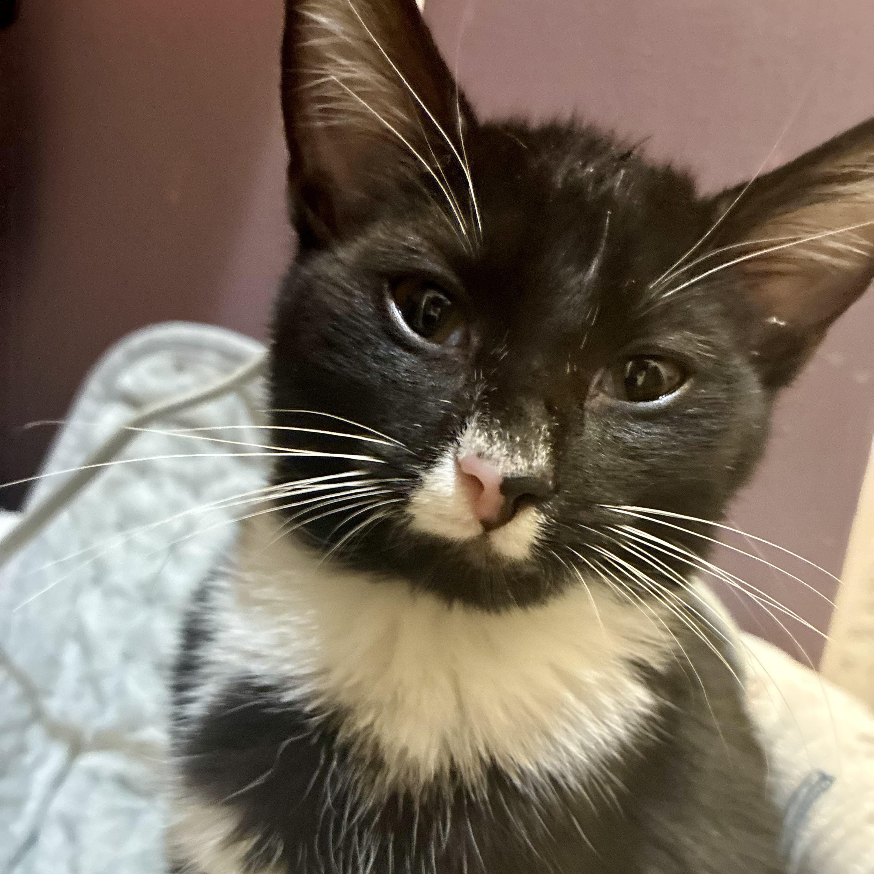 Lucky Numbers (AKA Lucky)