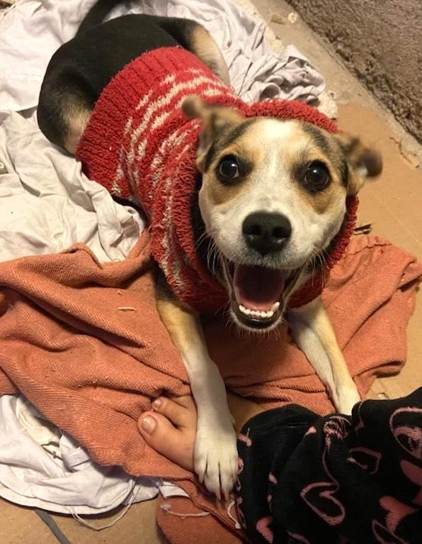 Solobina — thumbnail 2