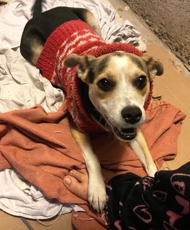 Solobina — thumbnail 4