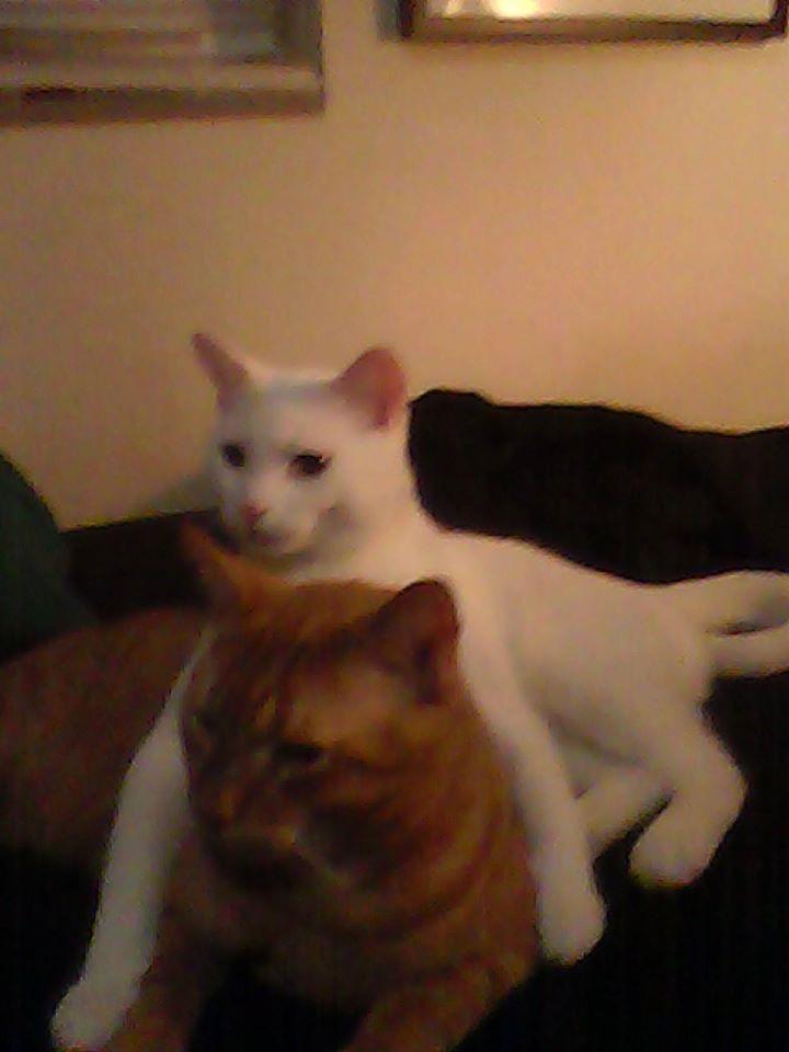 Phoenix and Gabrielle