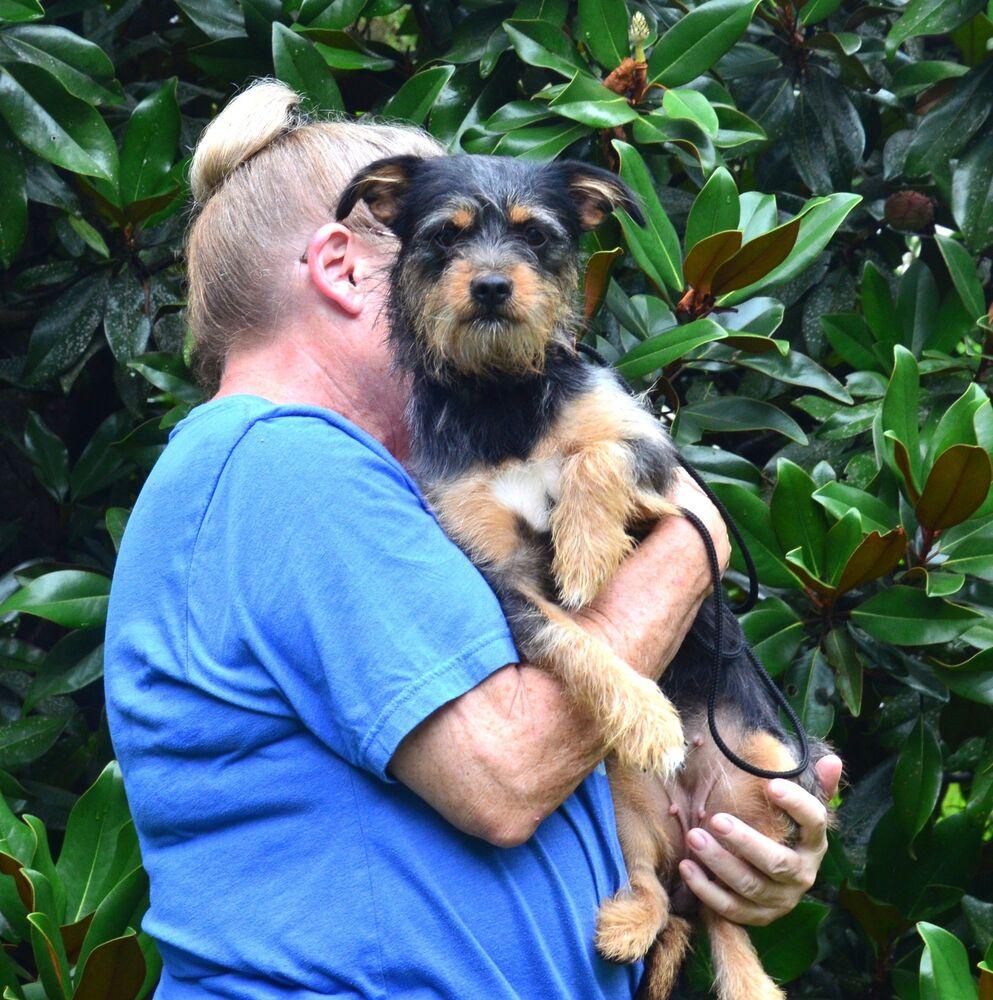 Tink, a Adoptable mixed breed in Willingboro, NJ image 4/6