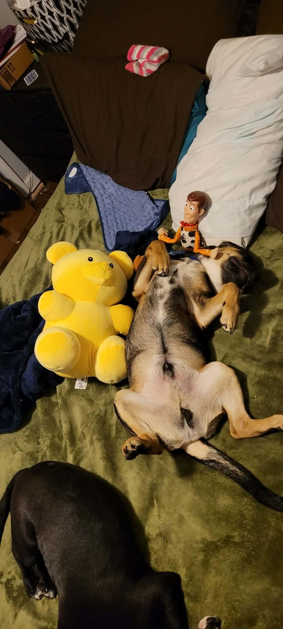 Charlie Mark — thumbnail 2