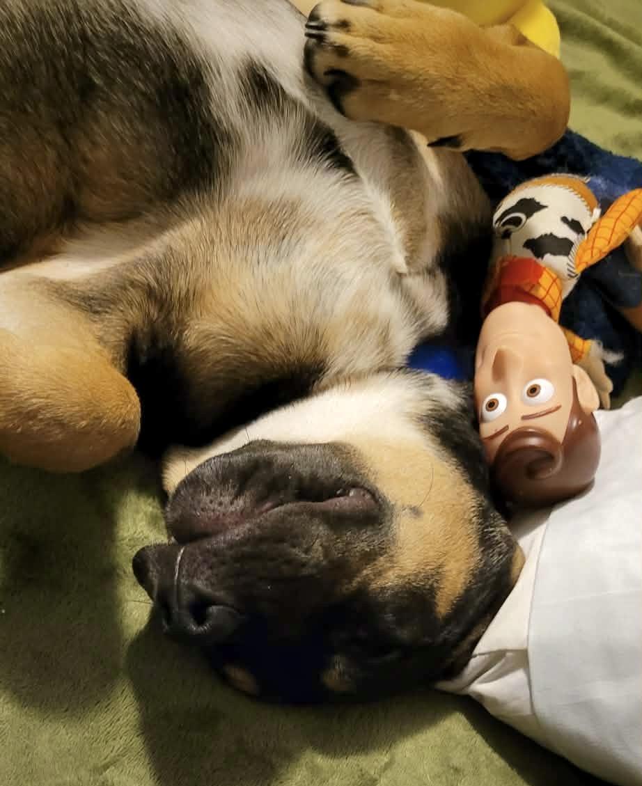 Charlie Mark — thumbnail 5