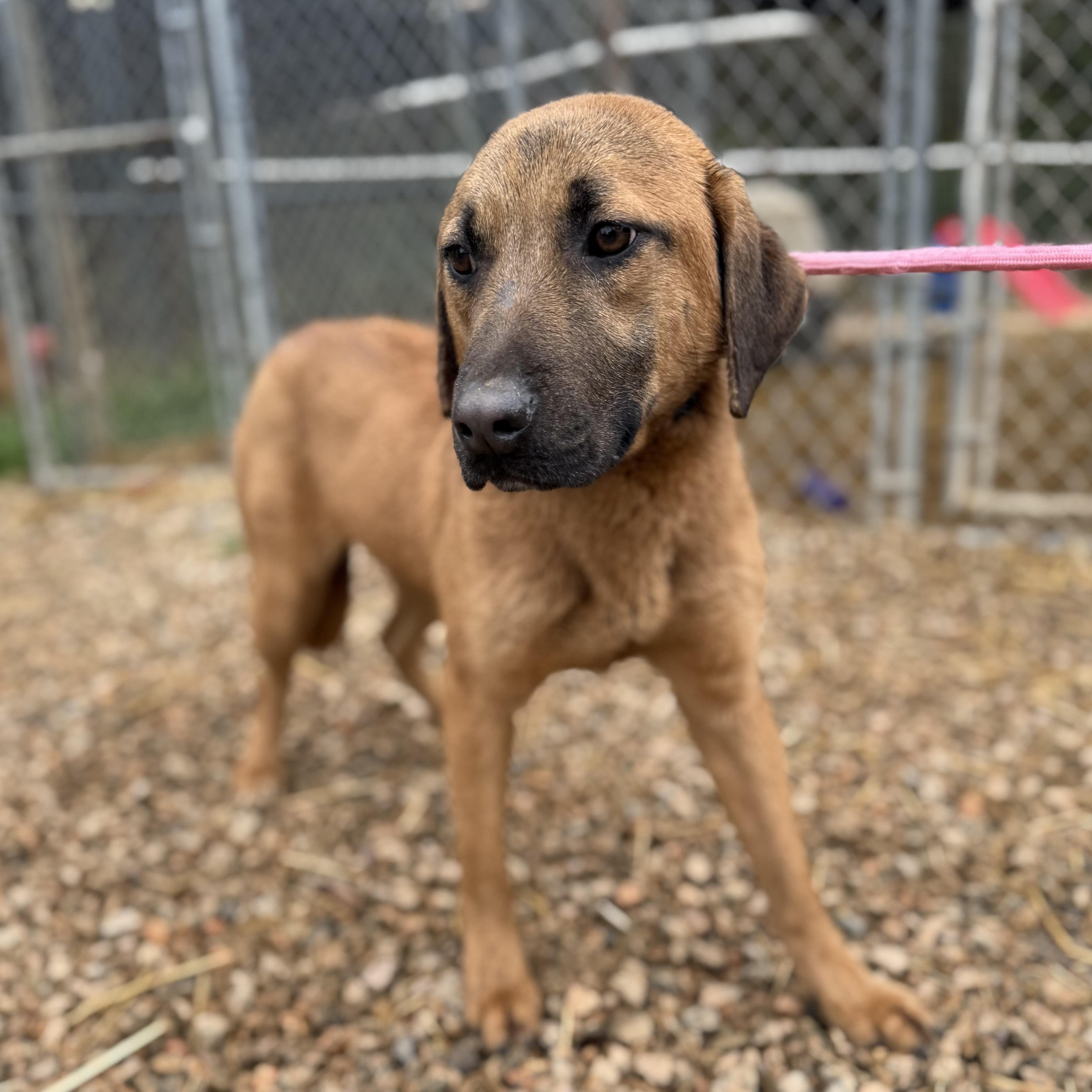 Ello — thumbnail 2