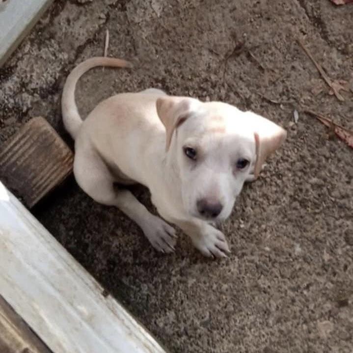 Little Bailey (20251013-03)