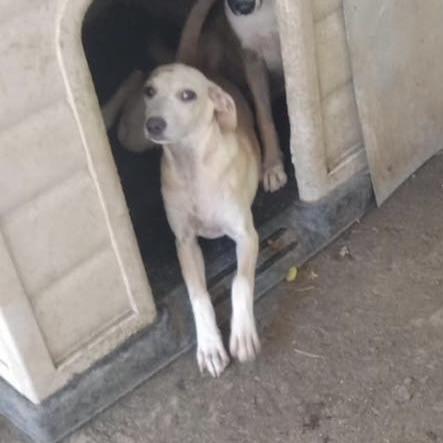 Little Bailey (20251013-03) — thumbnail 2