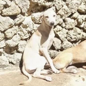 Little Bailey (20251013-03) — thumbnail 3