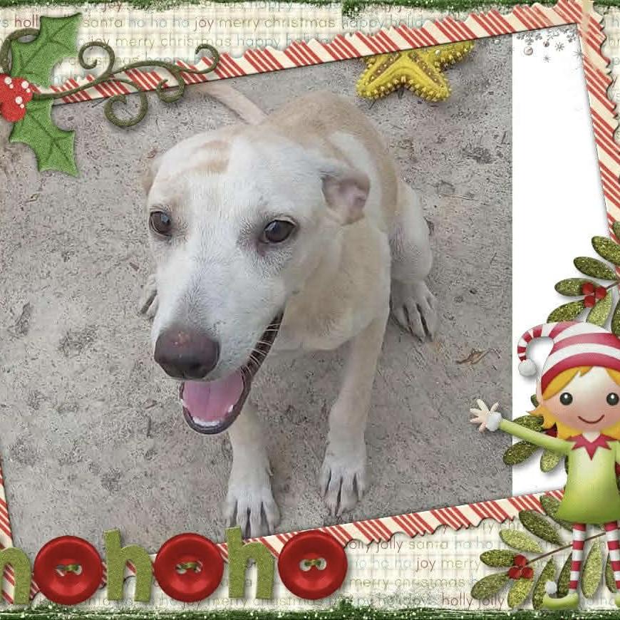 Little Bailey (20251013-03) — thumbnail 6