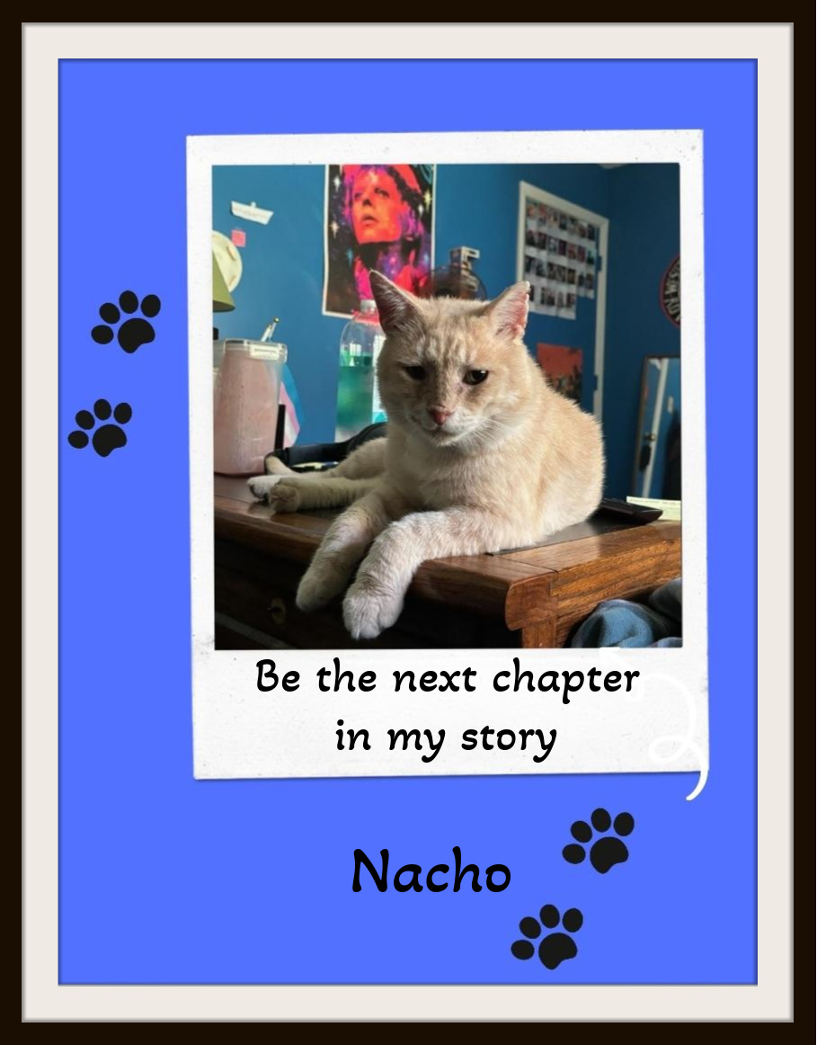 Nacho - Be the Next Chapter in My Story! My Friend. photo 1