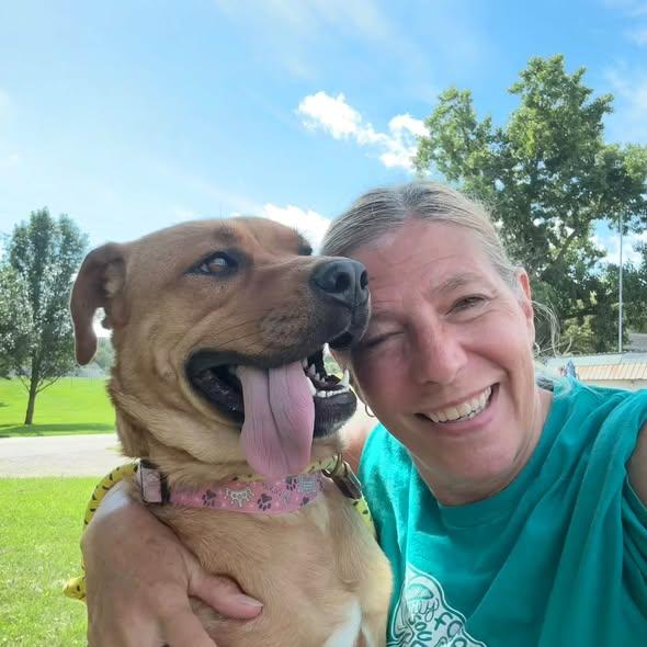 Enlarge Reeba, a Adoptable mixed breed in Lake Odessa, MI image 4/5