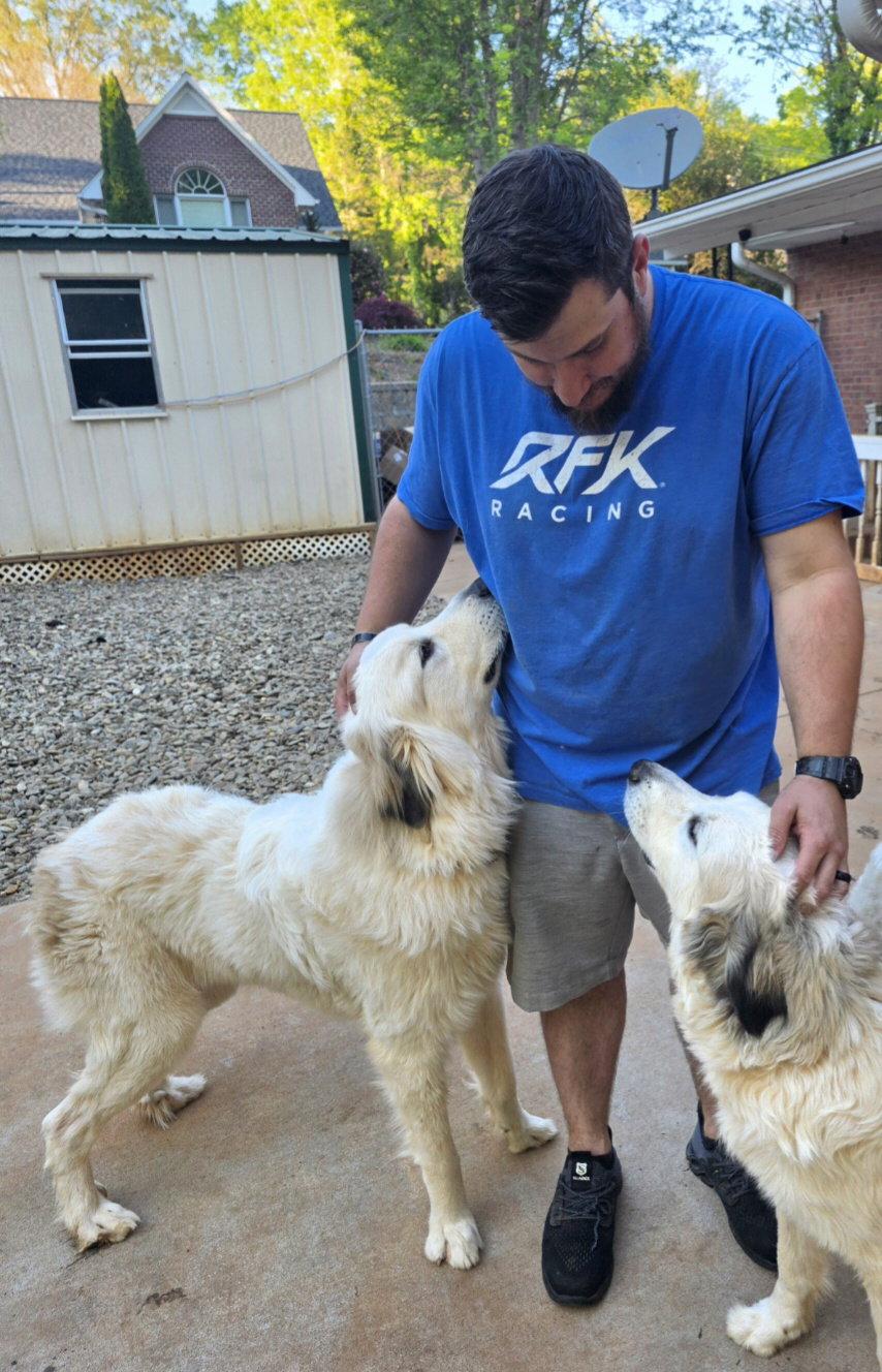 Ruger, Adopted, Adult Male Great Pyrenees & Anatolian Shepherd.