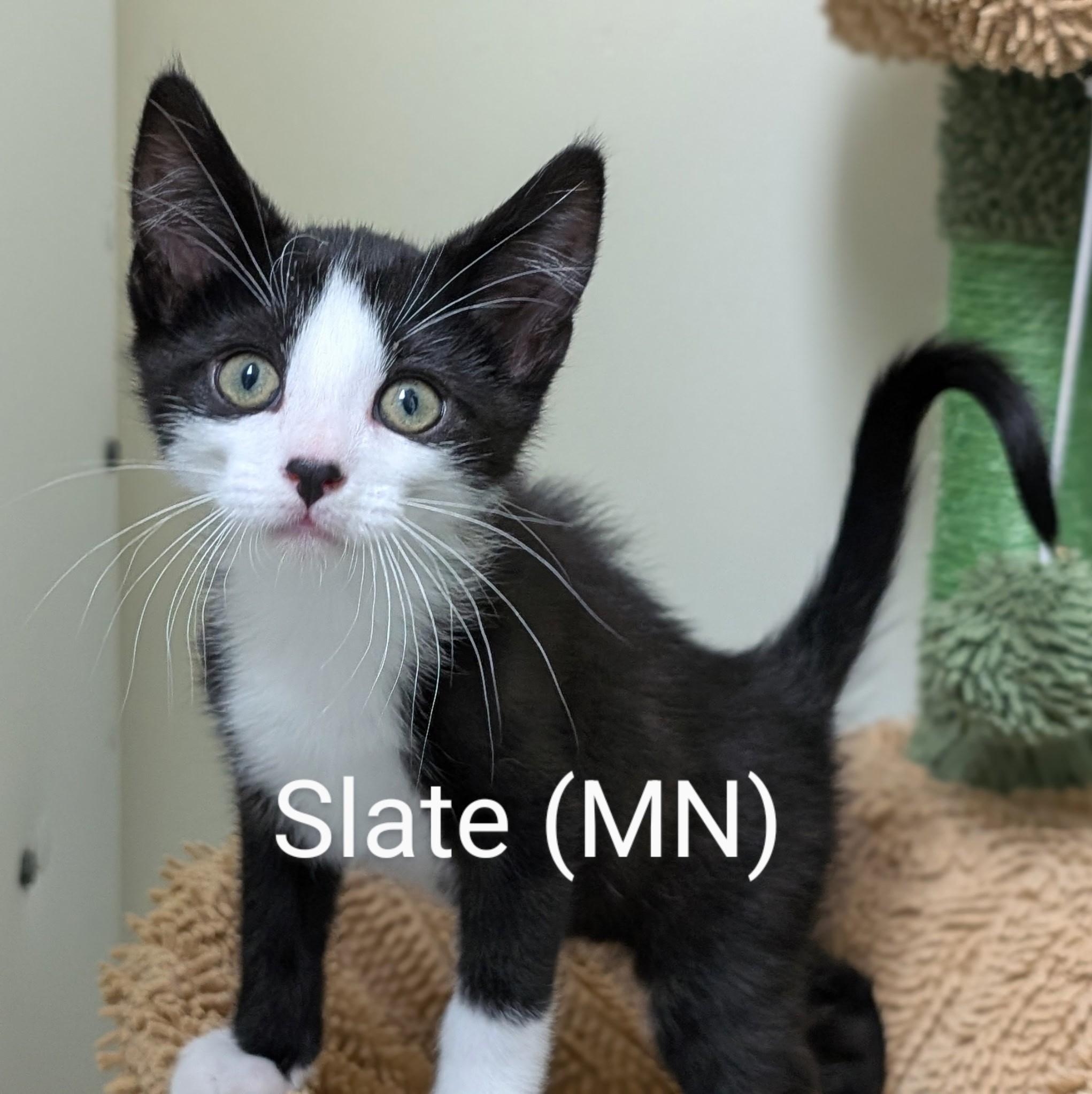 Slate thumbnail 1