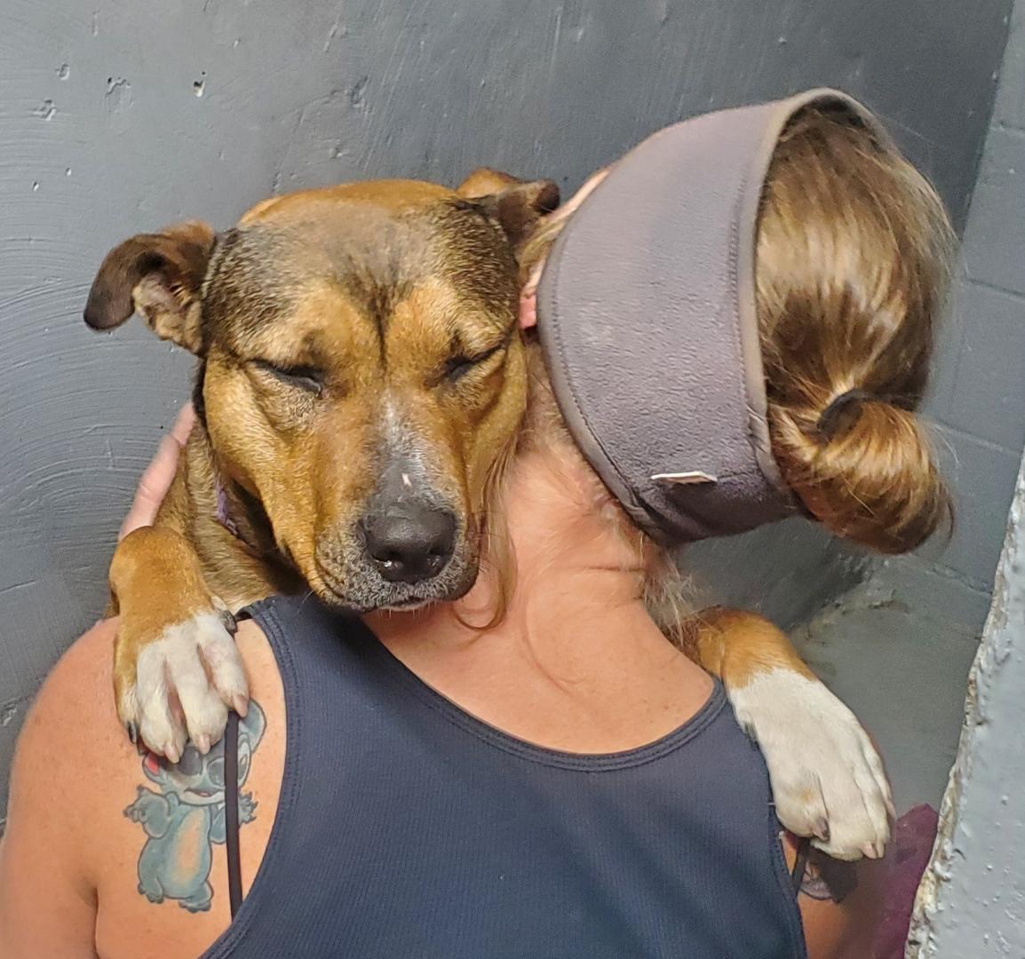 Enlarge Molly, a Adoptable mixed breed in Nucla, CO image 2/4