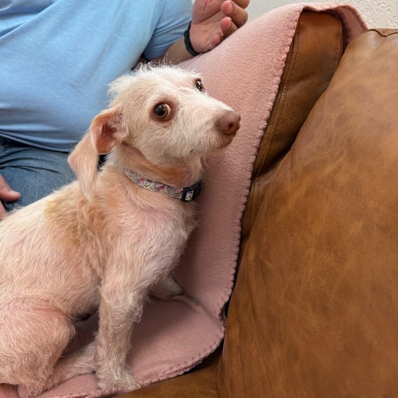 Willa Jean — thumbnail 2