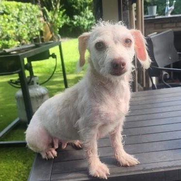 Willa Jean — thumbnail 3